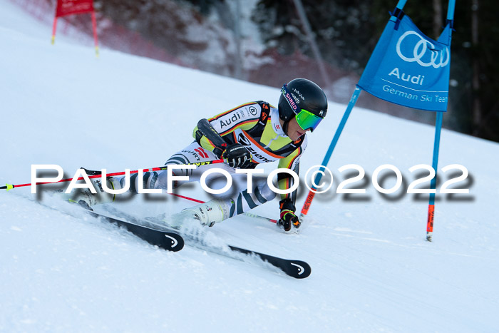 FIS Riesenslalom, ATA, Damen + Herren, 14.02.2022