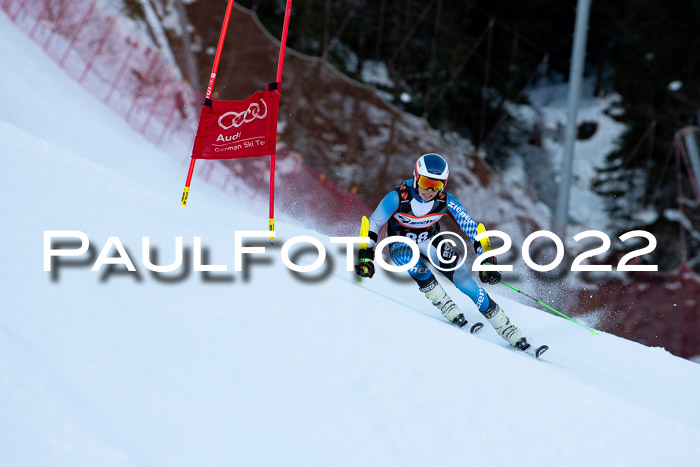 FIS Riesenslalom, ATA, Damen + Herren, 14.02.2022