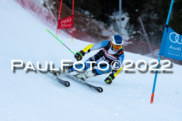 FIS Riesenslalom, ATA, Damen + Herren, 14.02.2022