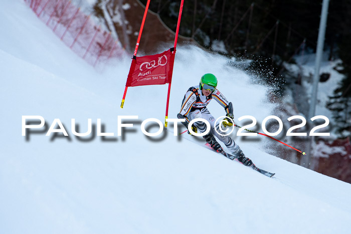 FIS Riesenslalom, ATA, Damen + Herren, 14.02.2022