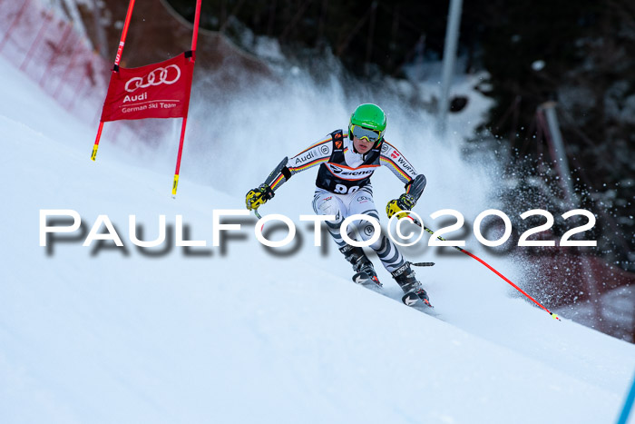 FIS Riesenslalom, ATA, Damen + Herren, 14.02.2022