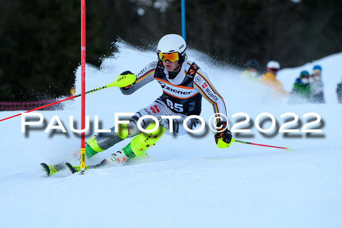 FIS Slalom Damen + Herren, ATA, 16.01.2022