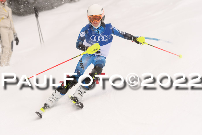 BSV Skiliga Bayern Rennen 22.01.2022