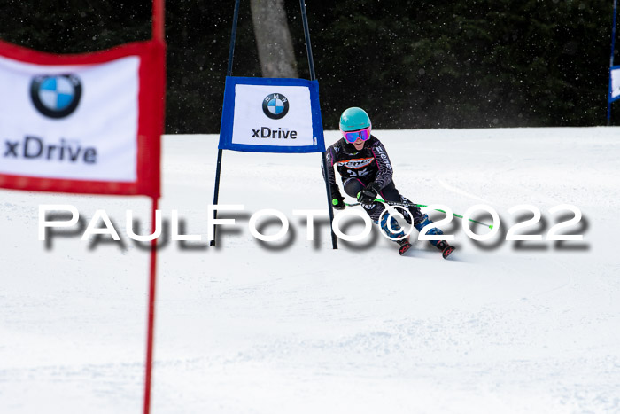 Ziener Kids Race Cross U12  Reg III + Ziener Cup WF