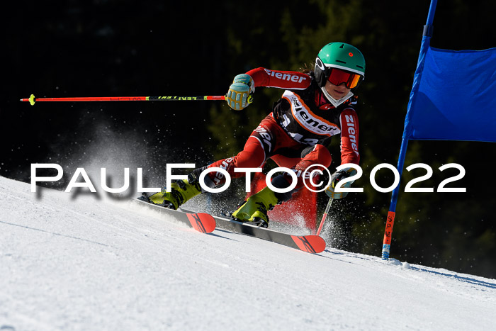 7. Ziener Cup WF + WFM, 05.03.2022