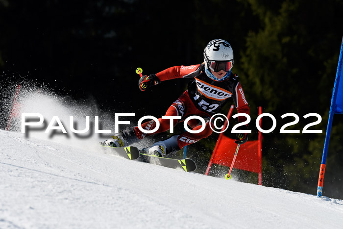 7. Ziener Cup WF + WFM, 05.03.2022