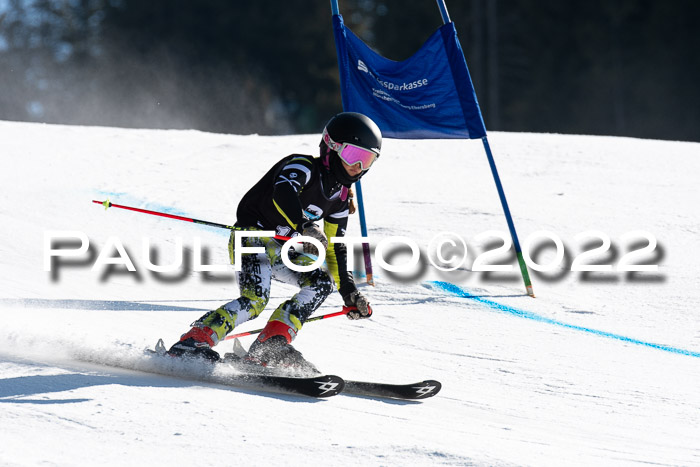 22. SVM Regionalcup-Finale 2022, Kinder, Schüler, Jugend, Erwachsene 20.03.2022