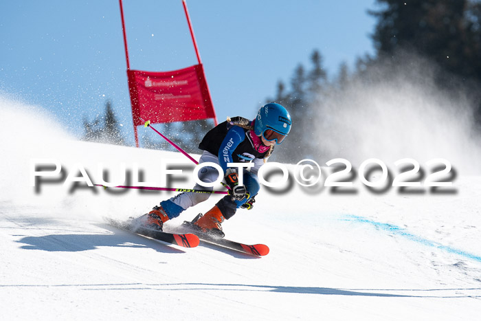 22. SVM Regionalcup-Finale 2022, Kinder, Schüler, Jugend, Erwachsene 20.03.2022