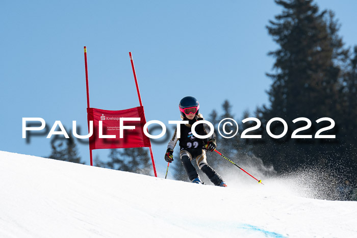 22. SVM Regionalcup-Finale 2022, Kinder, Schüler, Jugend, Erwachsene 20.03.2022