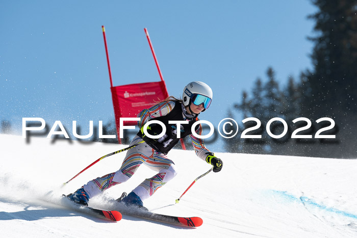 22. SVM Regionalcup-Finale 2022, Kinder, Schüler, Jugend, Erwachsene 20.03.2022