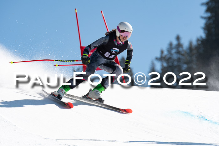 22. SVM Regionalcup-Finale 2022, Kinder, Schüler, Jugend, Erwachsene 20.03.2022