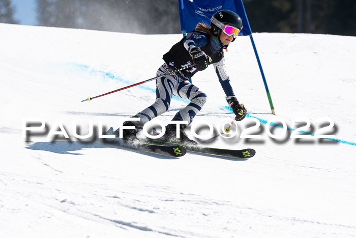 22. SVM Regionalcup-Finale 2022, Kinder, Schüler, Jugend, Erwachsene 20.03.2022