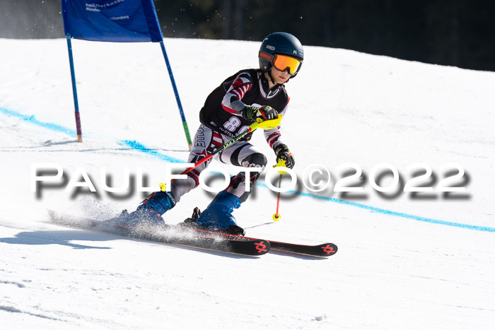 22. SVM Regionalcup-Finale 2022, Kinder, Schüler, Jugend, Erwachsene 20.03.2022