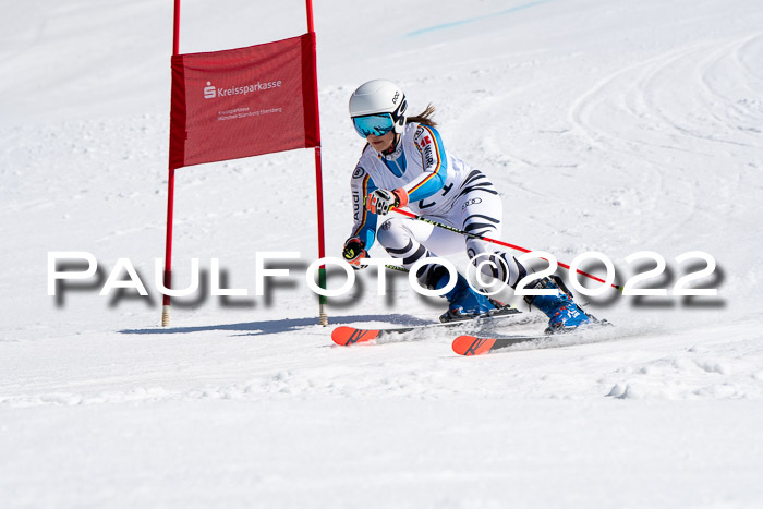 22. SVM Regionalcup-Finale 2022, Kinder, Schüler, Jugend, Erwachsene 20.03.2022