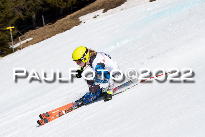 22. SVM Regionalcup-Finale 2022, Kinder, Schüler, Jugend, Erwachsene 20.03.2022