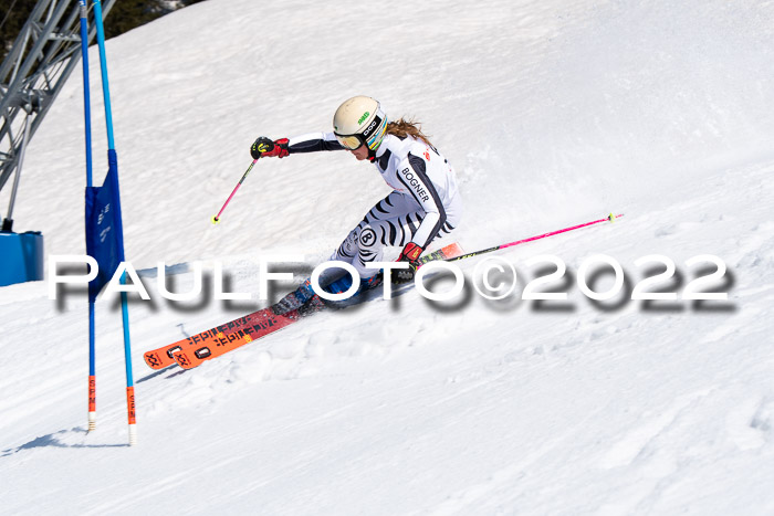 22. SVM Regionalcup-Finale 2022, Kinder, Schüler, Jugend, Erwachsene 20.03.2022