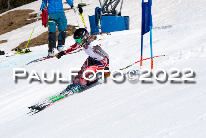 22. SVM Regionalcup-Finale 2022, Kinder, Schüler, Jugend, Erwachsene 20.03.2022