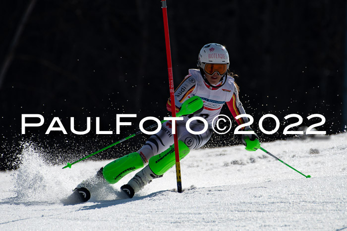 DSV Schülercup Finale U14 SL 20.03.2022