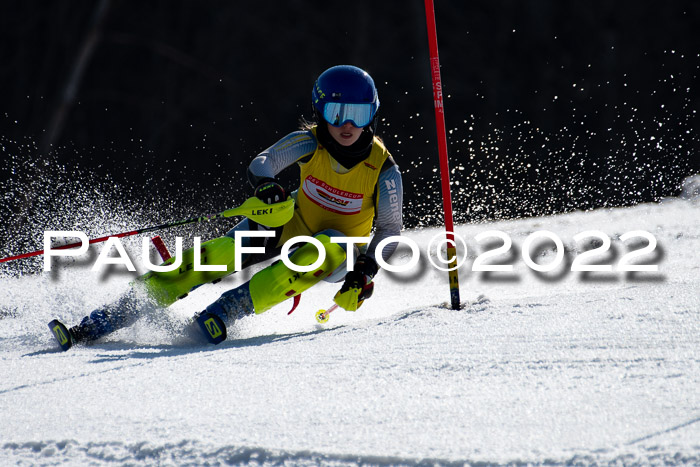 DSV Schülercup Finale U14 SL 20.03.2022