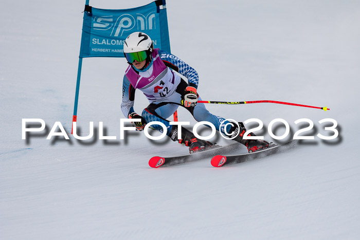 2. SVM Cup Willi-Wein-Gedächtnisrennen, RS, 06.01.2023