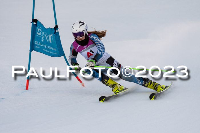 2. SVM Cup Willi-Wein-Gedächtnisrennen, RS, 06.01.2023