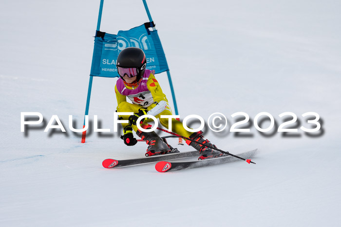 2. SVM Cup Willi-Wein-Gedächtnisrennen, RS, 06.01.2023