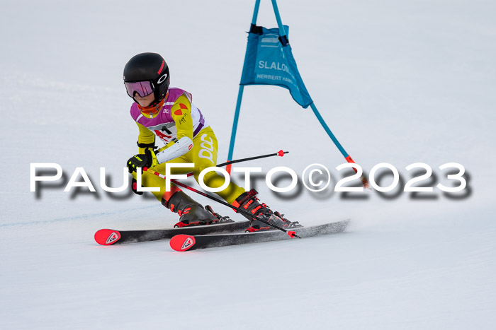 2. SVM Cup Willi-Wein-Gedächtnisrennen, RS, 06.01.2023