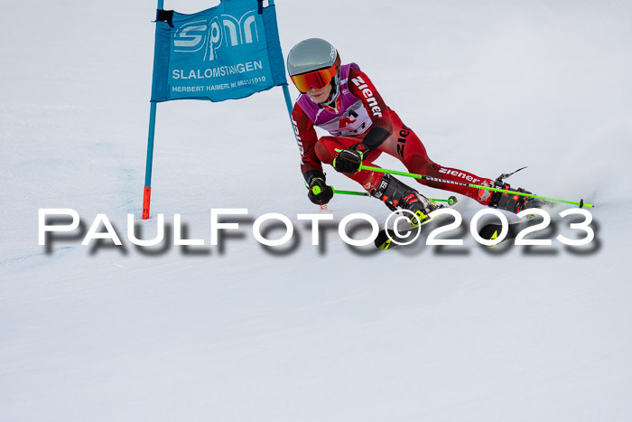 2. SVM Cup Willi-Wein-Gedächtnisrennen, RS, 06.01.2023