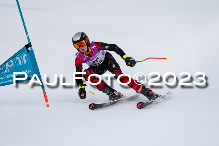 2. SVM Cup Willi-Wein-Gedächtnisrennen, RS, 06.01.2023