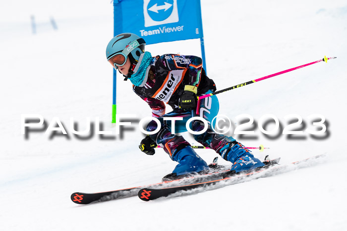 U12 Ziener Kids Cross Cup RSX Reg 4, 28.01.2023