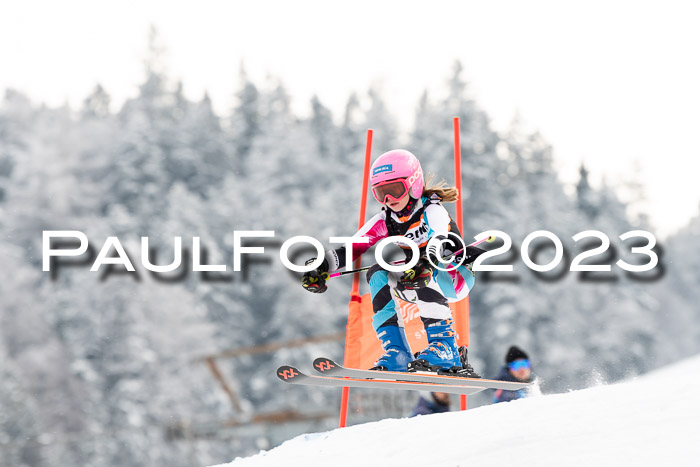 U12 Ziener Kids Cross Cup RSX Reg 4, 28.01.2023