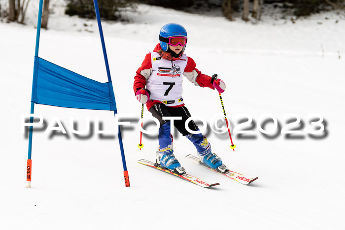 DSV Skitty Cup U'gau, 05.02.2023