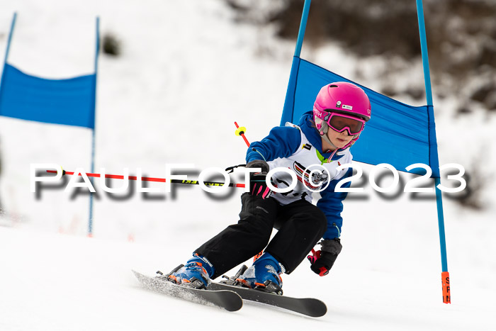 DSV Skitty Cup U'gau, 05.02.2023