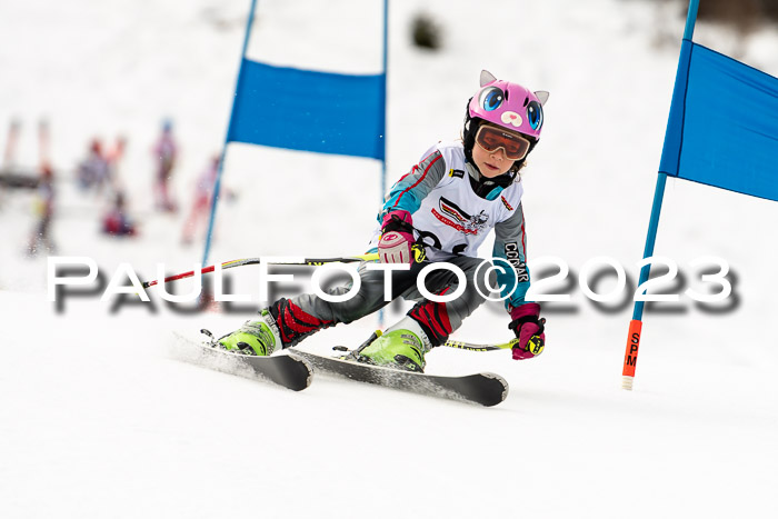 DSV Skitty Cup U'gau, 05.02.2023