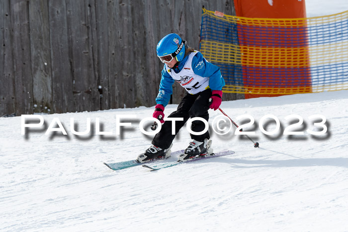 DSV Skitty Cup Alpin, 26.02.2026