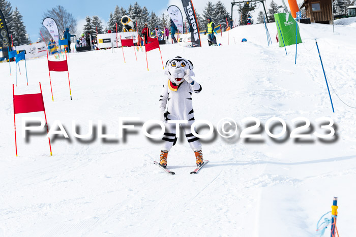 DSV Skitty Cup Alpin, 26.02.2026