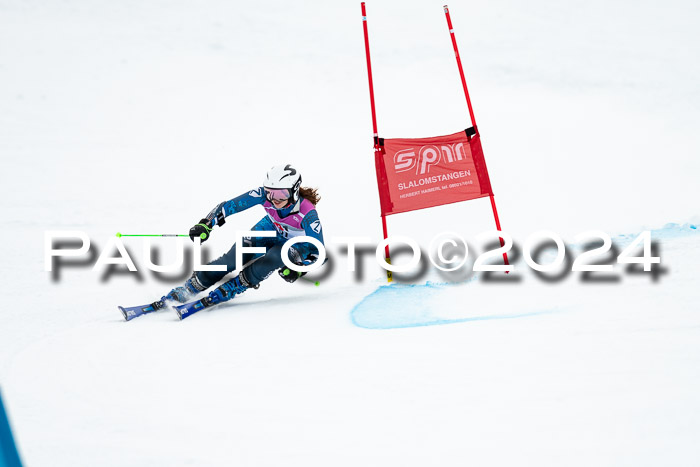 1. SVM Cup Willi-Wein-Gedächtnisrennen, RS, 05.01.2023