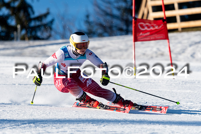 FIS SG Damen + Herren, Götschen, 30.01.2024