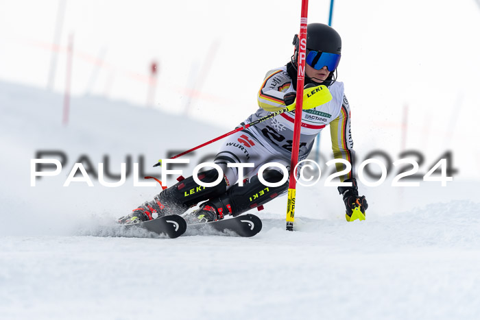 FIS Slalom Damen + Herren, 07.12.2024