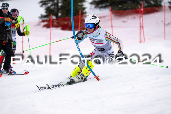 FIS Slalom Damen + Herren, 07.12.2024