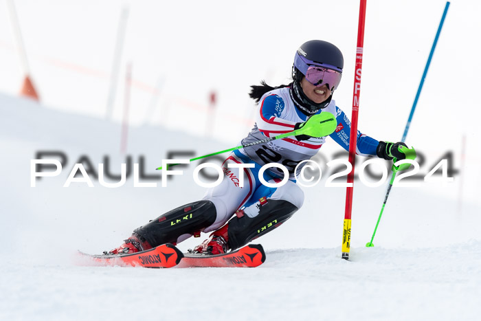 FIS Slalom Damen + Herren, 07.12.2024