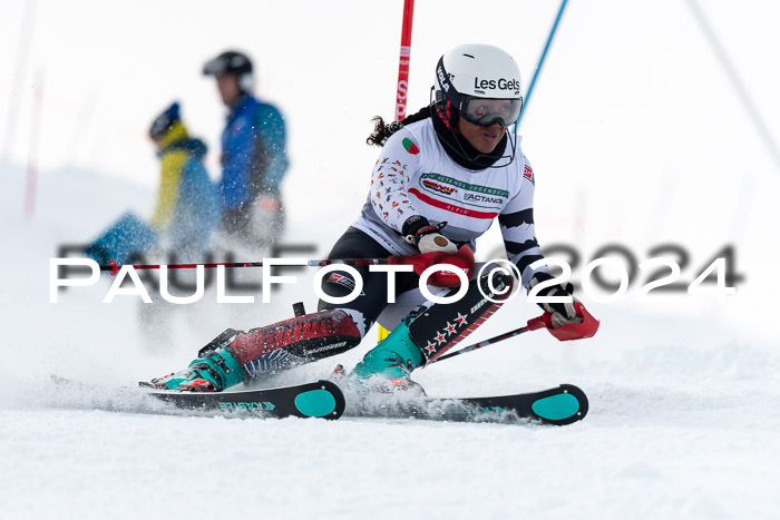 FIS Slalom Damen + Herren, 07.12.2024