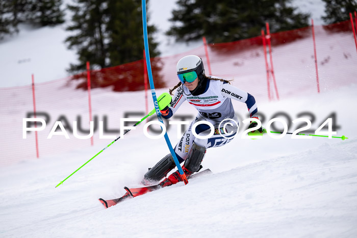 FIS Slalom Damen + Herren, 07.12.2024