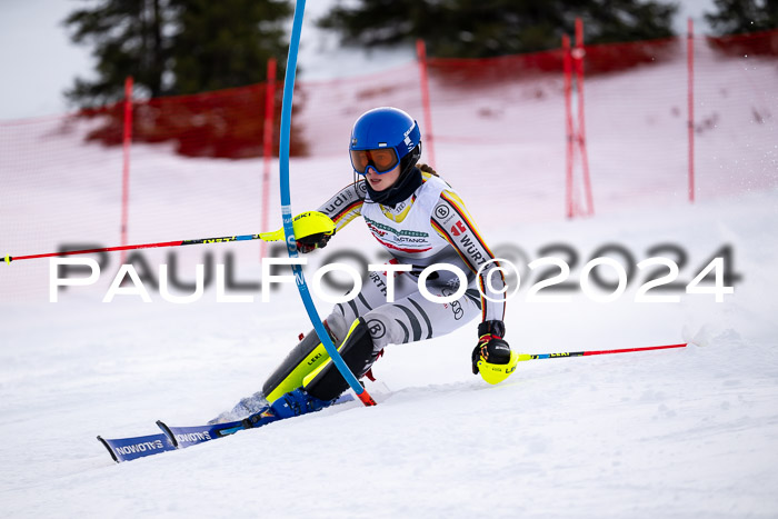 FIS Slalom Damen + Herren, 07.12.2024