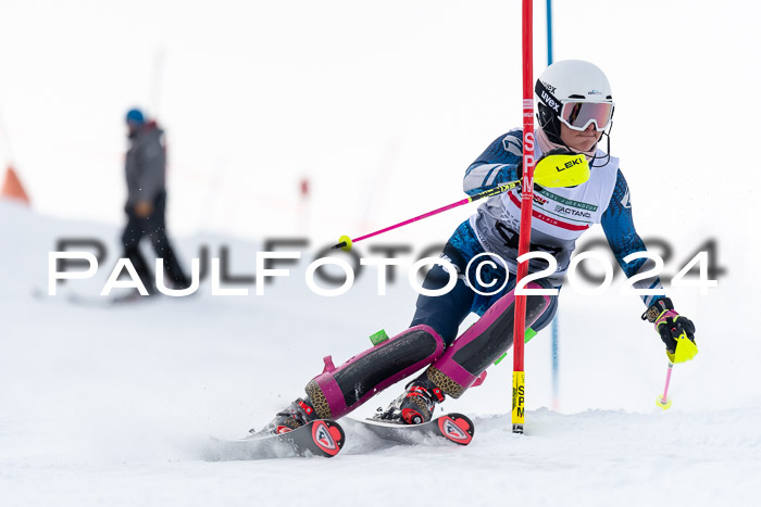 FIS Slalom Damen + Herren, 07.12.2024