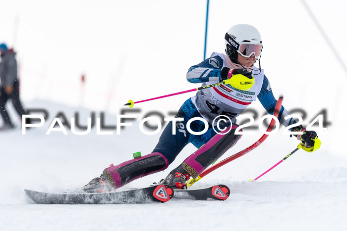 FIS Slalom Damen + Herren, 07.12.2024