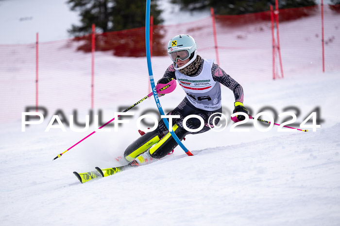 FIS Slalom Damen + Herren, 07.12.2024