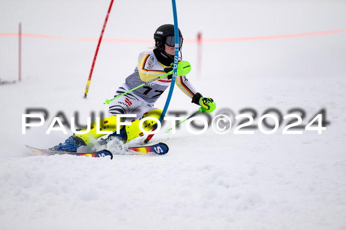 FIS Slalom Damen + Herren, 07.12.2024