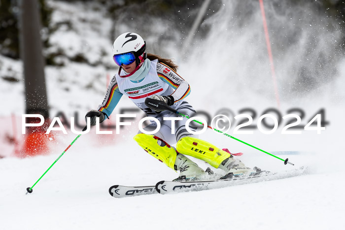 FIS Slalom Damen + Herren, 07.12.2024