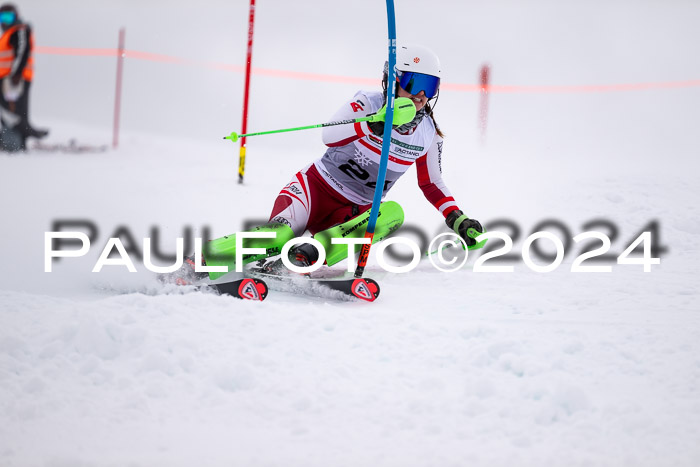 FIS Slalom Damen + Herren, 07.12.2024